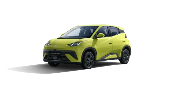 BYD Dolphin Surf